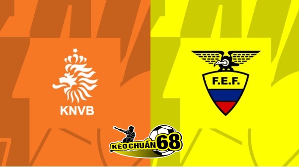Soi kèo Hà Lan vs Ecuador, 23:00 ngày 25/11/2022