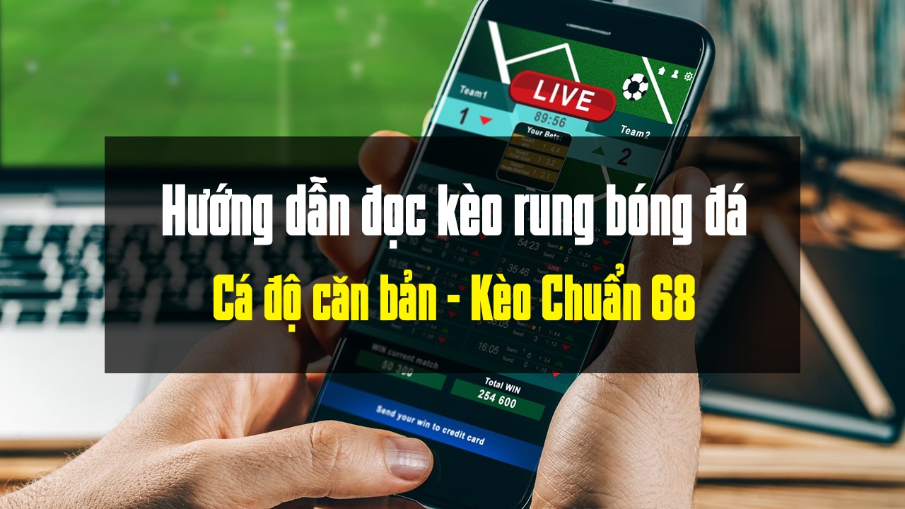 Kèo rung là gì? Khi nào thì bắt kèo rung?